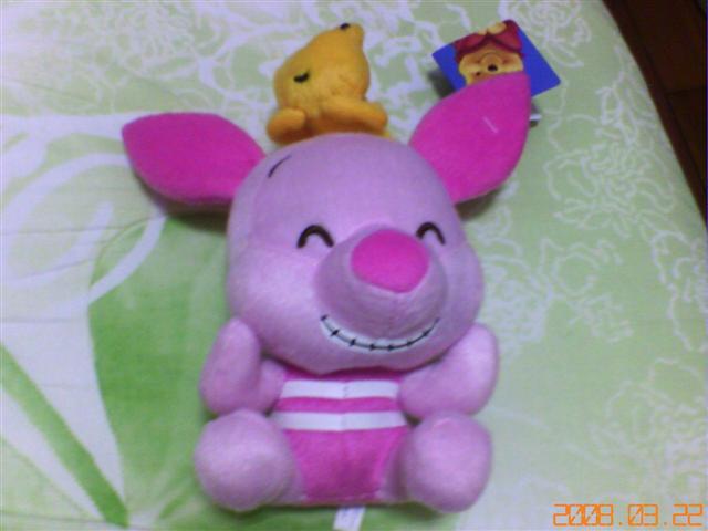 本文章相關圖片