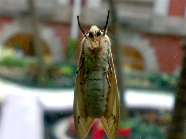 本文章相關圖片