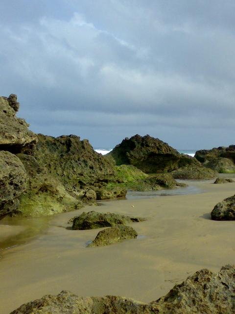 本文章相關圖片