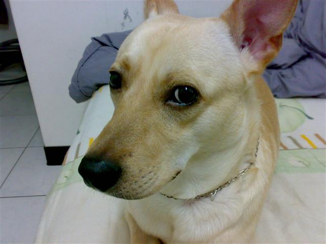 本文章相關圖片