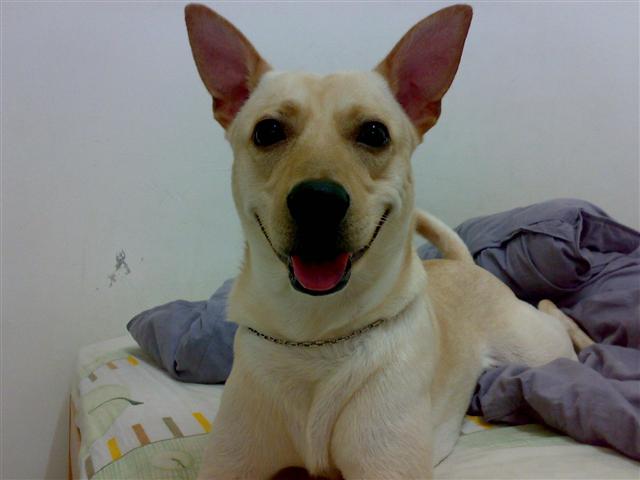 本文章相關圖片