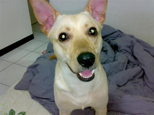 本文章相關圖片