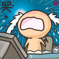 本文章相關圖片