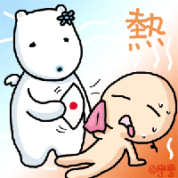 本文章相關圖片