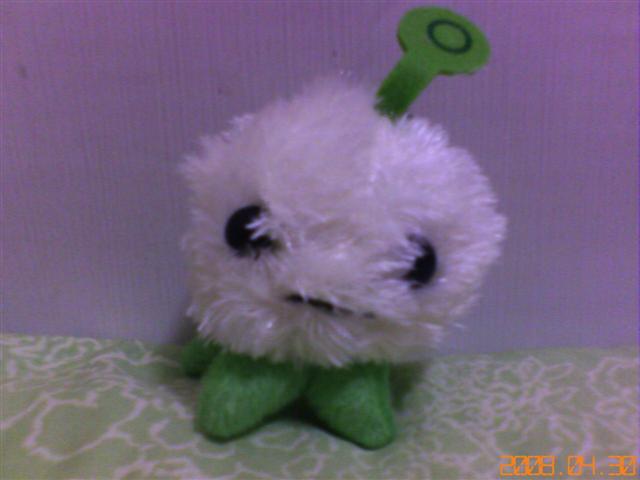 本文章相關圖片