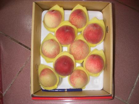 本文章相關圖片