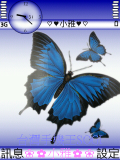 本文章相關圖片