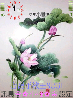 本文章相關圖片