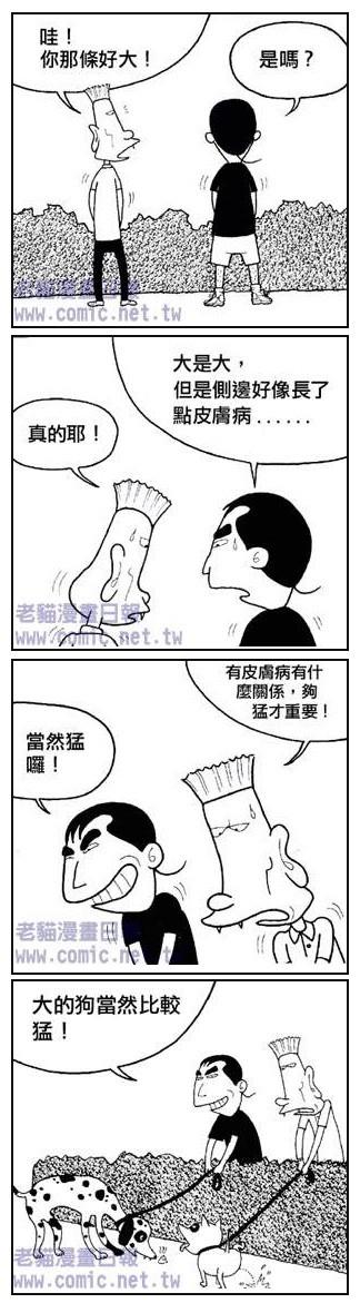 本文章相關圖片