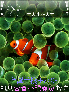 本文章相關圖片