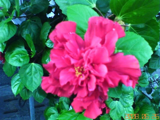 本文章相關圖片