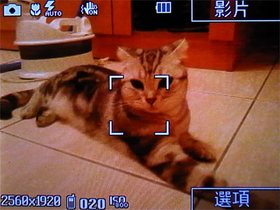 本文章相關圖片