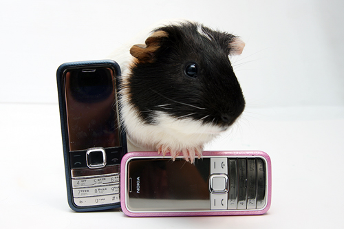 本文章相關圖片