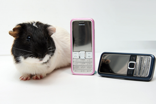 本文章相關圖片