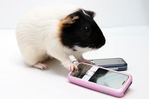 本文章相關圖片