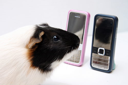 本文章相關圖片