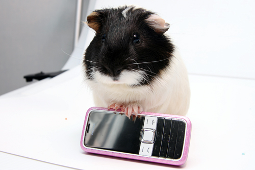 本文章相關圖片