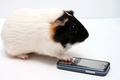 本文章相關圖片