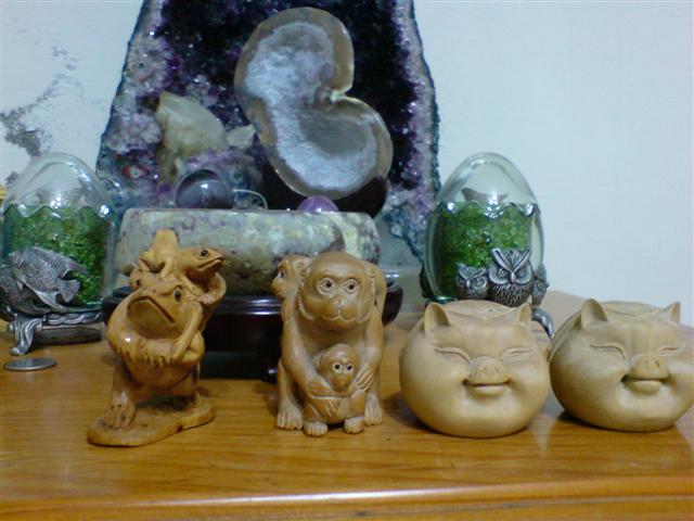 本文章相關圖片