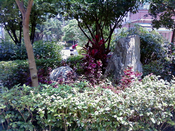 本文章相關圖片