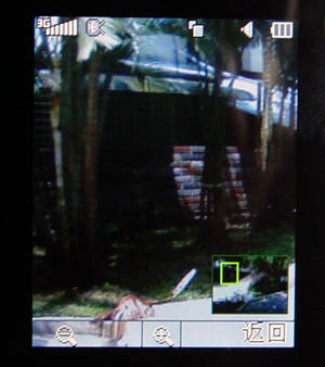 本文章相關圖片