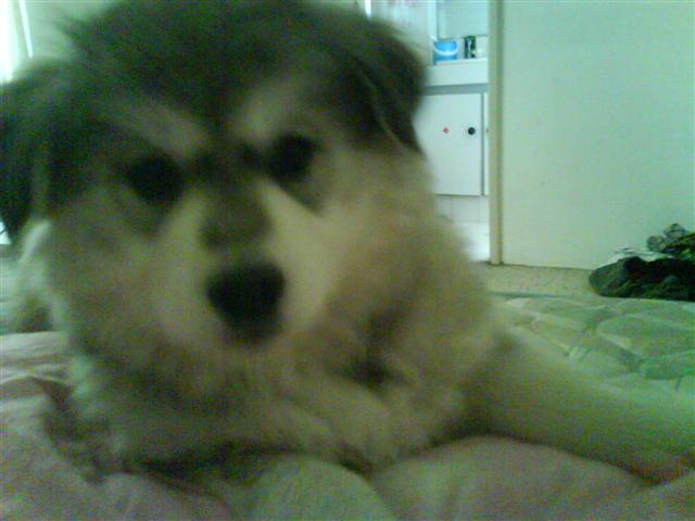 本文章相關圖片