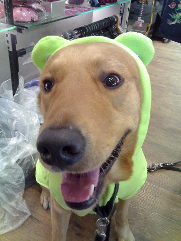 本文章相關圖片