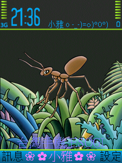 本文章相關圖片