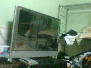 本文章相關圖片