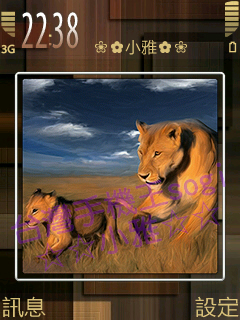 本文章相關圖片