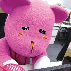 本文章相關圖片