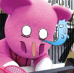 本文章相關圖片