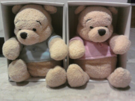 本文章相關圖片