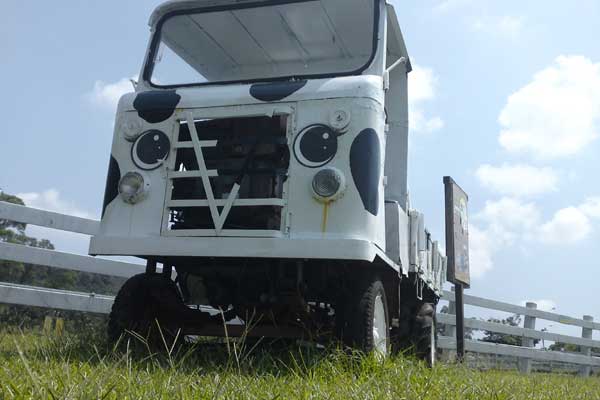 本文章相關圖片