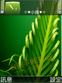 本文章相關圖片