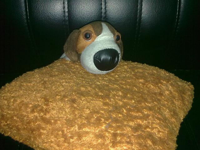 本文章相關圖片