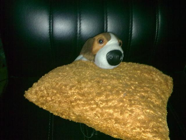 本文章相關圖片