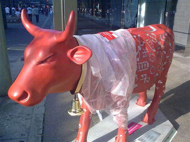 本文章相關圖片