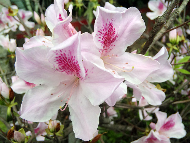 本文章相關圖片