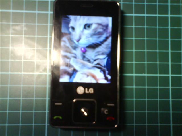 本文章相關圖片