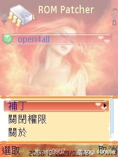 本文章相關圖片