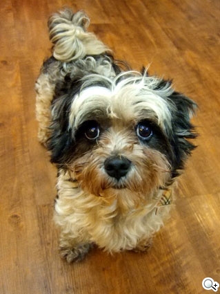 本文章相關圖片