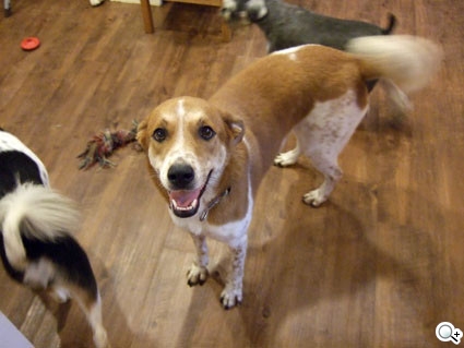 本文章相關圖片