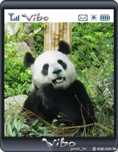 V-Live大貓熊代表號0986-548800(我是團團圓圓)