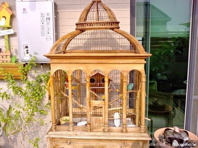 本文章相關圖片
