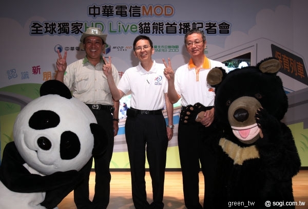 本文章相關圖片