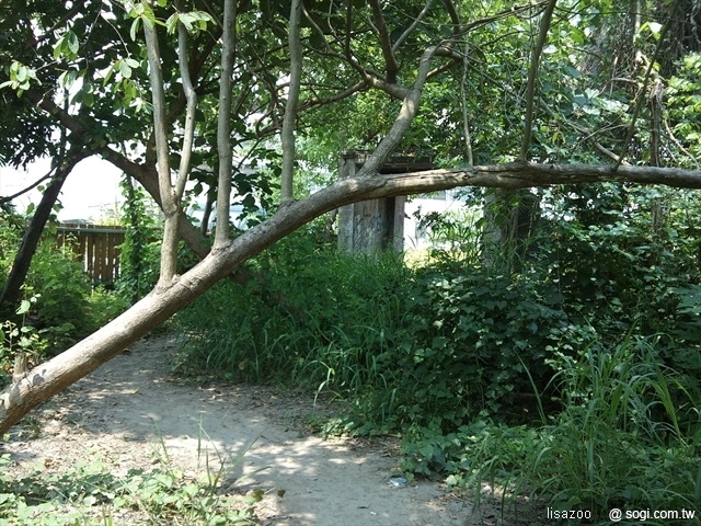 本文章相關圖片