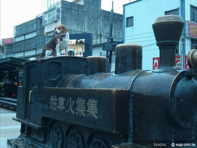 本文章相關圖片