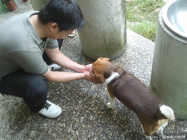 本文章相關圖片