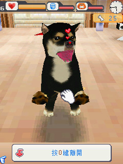 本文章相關圖片